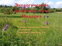 Индивидуальный проект : Экологические проблемы села Индерка проект по окружающему миру по теме