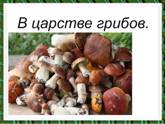 Познавательно-исследовательский проект Царство грибов ученик 3 - А класса Самохвалов Иван презентация к уроку по окружающему миру (3 класс)