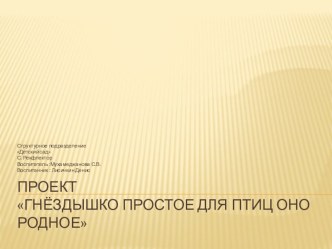 Проект Гнёздышко простое для птиц оно родное проект по окружающему миру (старшая группа)