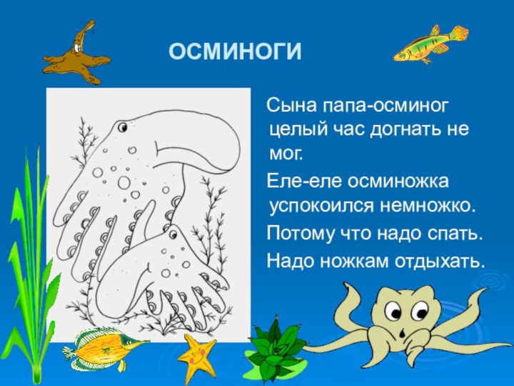 Сына папа-осминог целый час догнать не мог.  Еле-еле осминожка