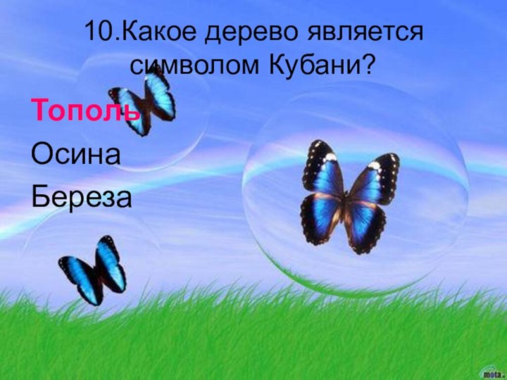 10.Какое дерево является символом Кубани? ТопольОсинаБереза