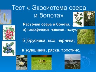 ТестЭкосистема озера и болота тест по окружающему миру (2 класс)