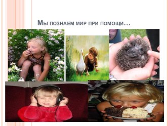 Презентация Мы познаем мир презентация к уроку (старшая группа)