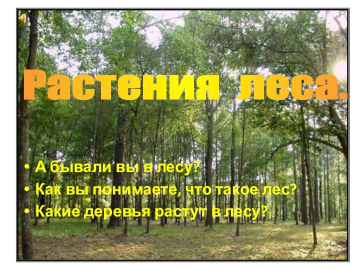 А бывали вы в лесу?Как вы понимаете, что такое лес?Какие деревья растут в лесу?Растения леса.