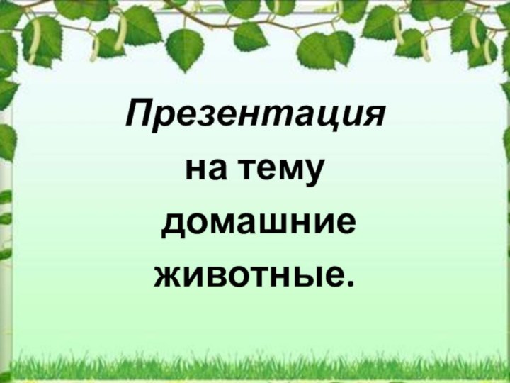 Презентация на тему домашние животные.