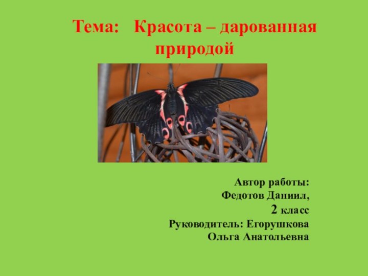 Тема:  Красота – дарованная природой Автор работы: Федотов Даниил, 2 классРуководитель: Егорушкова Ольга Анатольевна