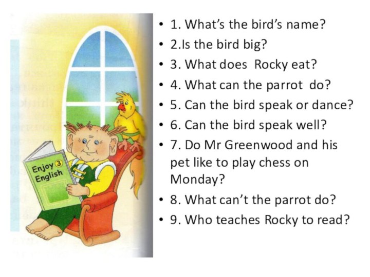 1. What’s the bird’s name?2.Is the bird big?3. What does Rocky eat?4.