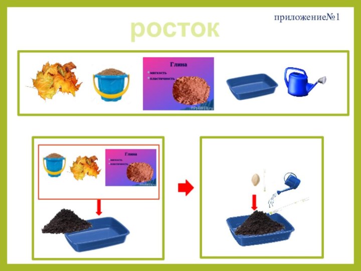 ростокприложение№1