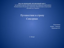 Путешествие в страну Сенсорики презентация