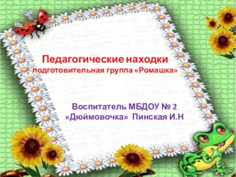 Педагогические находки подготовительная группа Ромашка презентация к уроку (старшая группа)