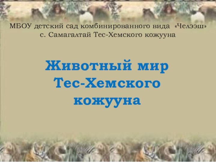 МБОУ детский сад комбинированного вида «Челээш» с. Самагалтай Тес-Хемского кожуунаЖивотный мир Тес-Хемского кожууна