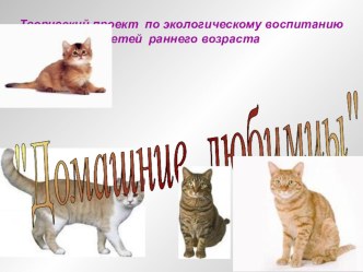 Проект Домашние любимцы проект (младшая группа)