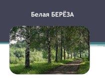 Белая берёза - Урок Мужества классный час (3 класс) по теме