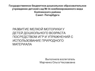 Развитие мелкой моторики с использование природного материала презентация к уроку по конструированию, ручному труду