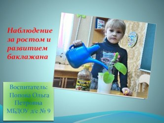 Наблюдение за ростком. Презентация. презентация к уроку по окружающему миру (старшая группа) по теме