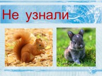 Изложение презентация к уроку по русскому языку (3 класс)