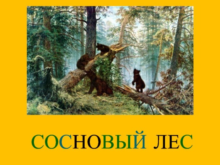 СОСНОВЫЙ ЛЕС