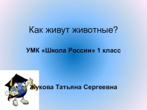 Как живут животные презентация к уроку по окружающему миру (1 класс) по теме