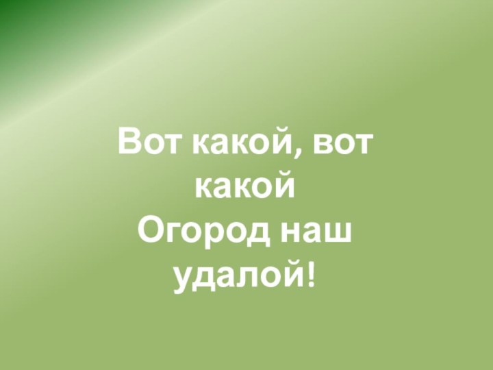 Вот какой, вот какойОгород наш удалой!