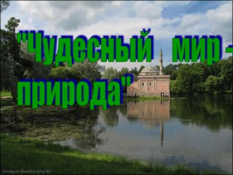 Творчество В. Данилова презентация к уроку по чтению (3 класс) по теме