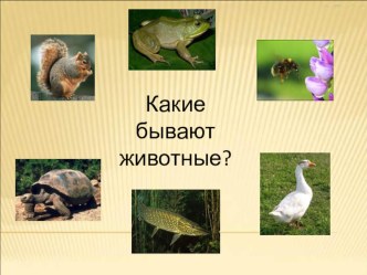 Презентация Какие бывают животные? презентация к уроку по окружающему миру (2 класс)
