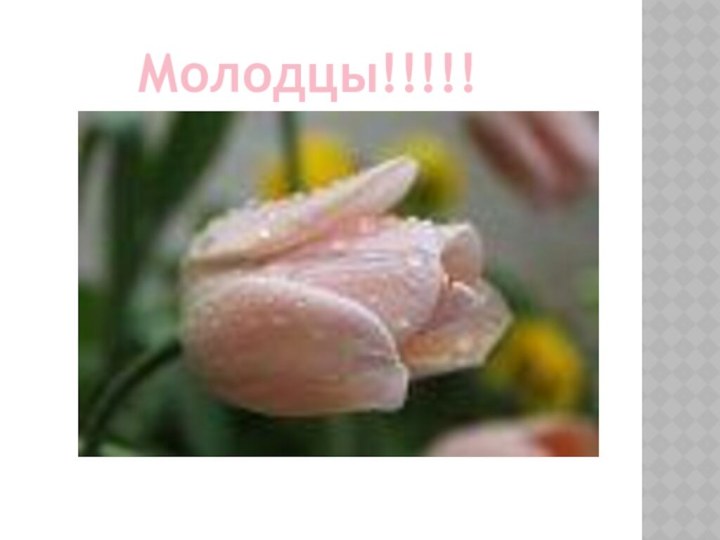 Молодцы!!!!!