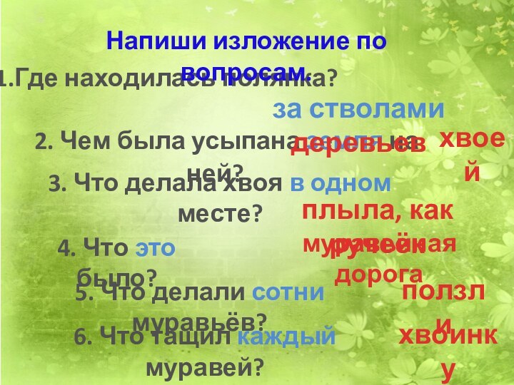 2. Чем была усыпана земля на ней?1.Где находилась полянка?