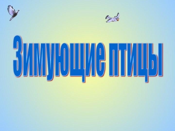 Зимующие птицы