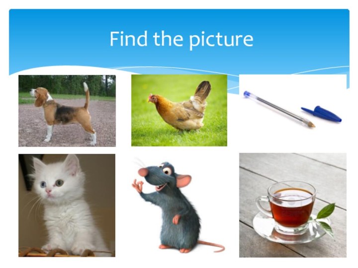 Find the picture