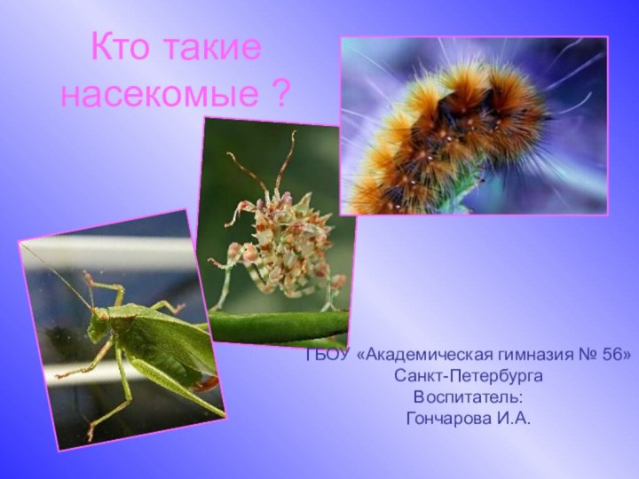 Кто такие насекомые ?ГБОУ «Академическая гимназия № 56»Санкт-ПетербургаВоспитатель: Гончарова И.А.