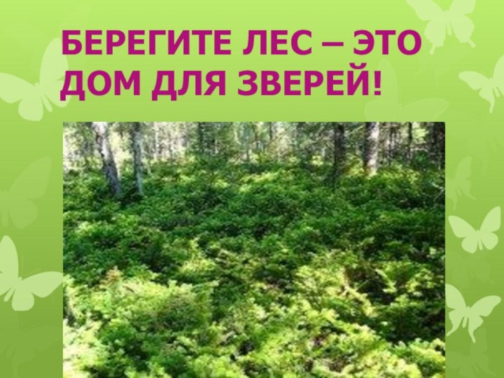 БЕРЕГИТЕ ЛЕС – ЭТО ДОМ ДЛЯ ЗВЕРЕЙ!