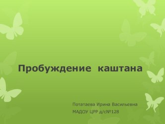 Проект пробуждение  каштана. презентация к уроку по окружающему миру (старшая, подготовительная группа)