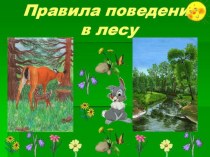 Правила поведения в лесу презентация к уроку по окружающему миру (подготовительная группа)