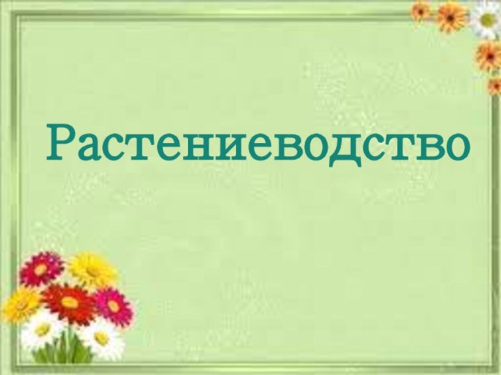 Растениеводство