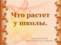 Что растет у школы. презентация к уроку по окружающему миру (1 класс)