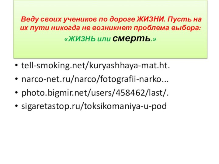 Веду своих учеников по дороге ЖИЗНИ. Пусть на их пути никогда