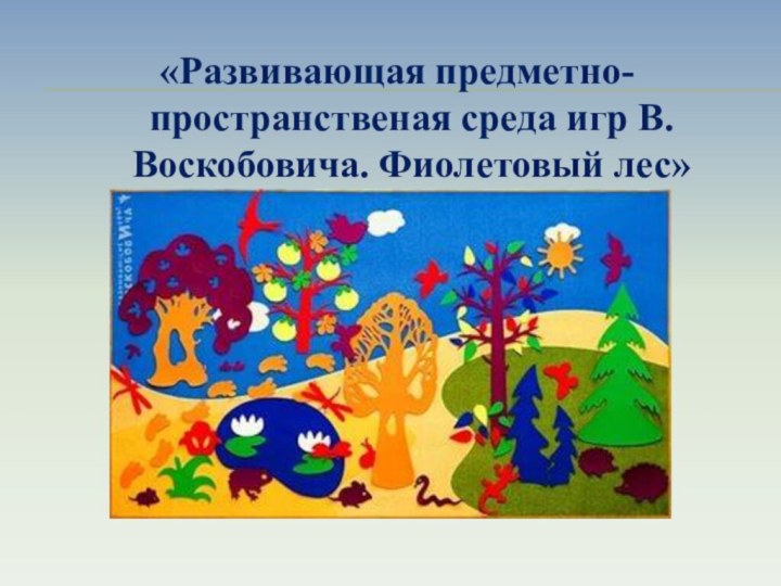 «Развивающая предметно-пространственая среда игр В.Воскобовича. Фиолетовый лес»