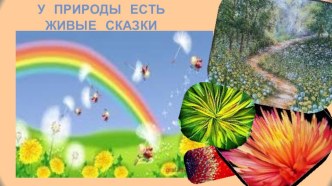 Презентация к БАЛУ ЦВЕТОВ