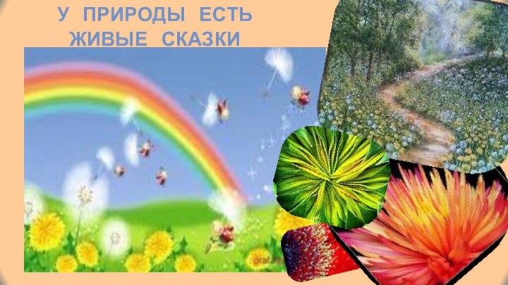 У  природы  есть живые  сказки