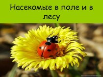 Презентация насекомые презентация к занятию по окружающему миру (средняя группа)