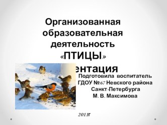 НОД с детьми старшего дошкольного возраста ПТИЦЫ и презентация план-конспект занятия по развитию речи (старшая группа) по теме