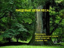 Презентация Пищевые цепи леса презентация к уроку по окружающему миру