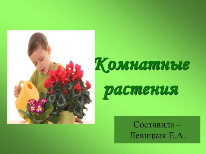 Составила – Левицкая Е.А.