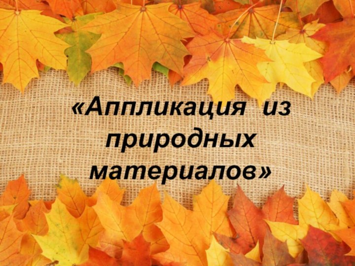 «Аппликация из природных  материалов»«Аппликация из природных  материалов»