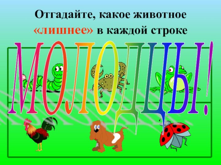 Отгадайте, какое животное «лишнее» в каждой строкеМОЛОДЦЫ!