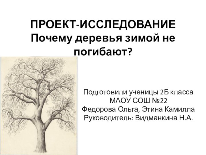 ПРОЕКТ-ИССЛЕДОВАНИЕ Почему деревья зимой не погибают?  Подготовили ученицы 2Б класса МАОУ СОШ