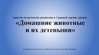 Презентация Домашние животные презентация по окружающему миру