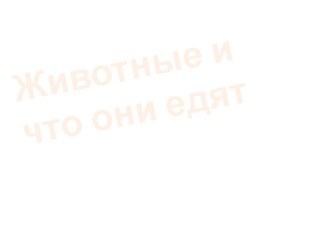 prezentatsiya zhivotnye i chto oni edyat