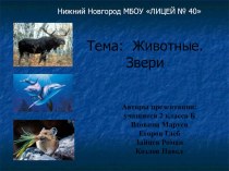 животные. млекопитающие (презентация) презентация к уроку по окружающему миру (2 класс)