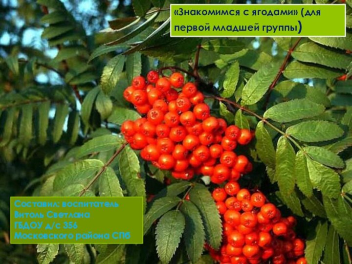 Составил: воспитатель Витоль СветланаГБДОУ д/с 356 Московского района СПб«Знакомимся с ягодами» (для первой младшей группы)